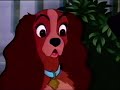 Trailer VHS La Dama Y El Vagabundo Próximamente En Vídeo