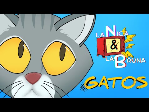 LA NICA & LA BRUNA - GATOS (VIDEOCLIP)