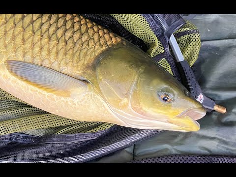 Lov z hladiny: Jak nahodit LEHKÝ rohlík DALEKO od břehu?