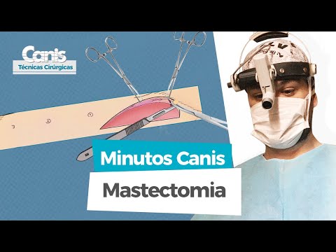 Mastectomia - Minutos Canis - Técnicas Cirúrgicas