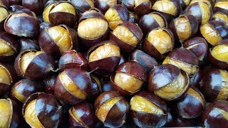 AMAZING TRICK TO PEEL CHESTNUTS EASILY (BY CRAZY HACKER)
