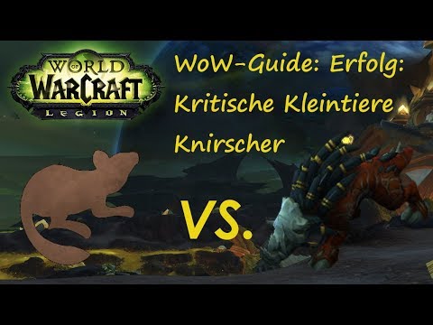 WoW-Guide: Erfolg: Kritische Kleintiere - Knirscher