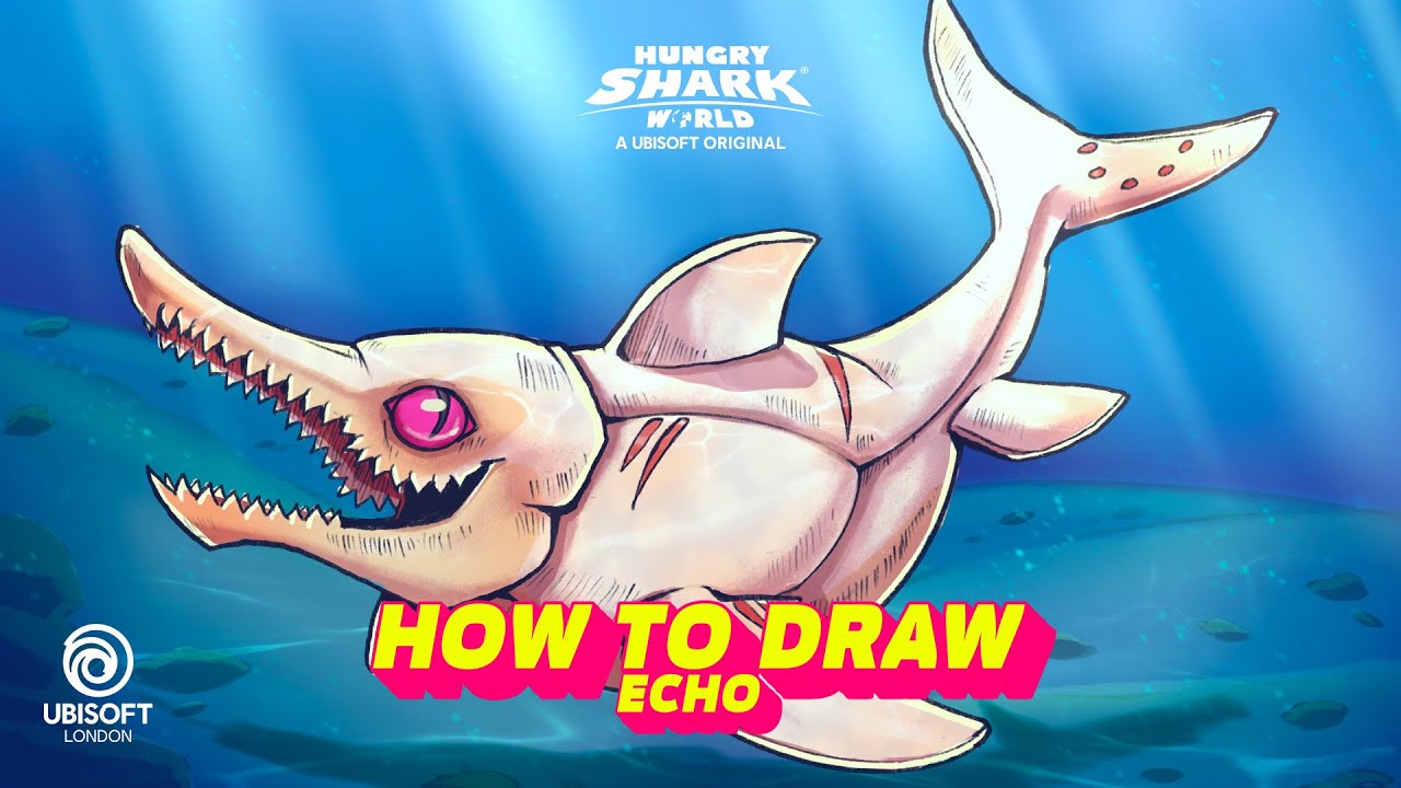 Hungry Shark | How to Draw Echo