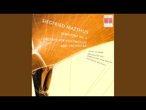 Symphony No. 2: II. Allegro Assai