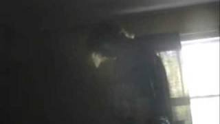 Zao- Free the Three Vocal Cover