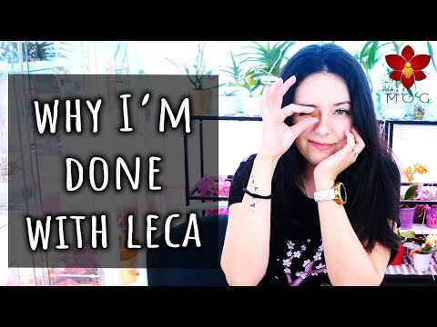 Why I don't use LECA & Semi Hydroponics with Orchids anymore