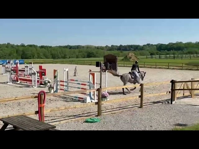 &Agrave; vendre jolie jument de 5 ans 