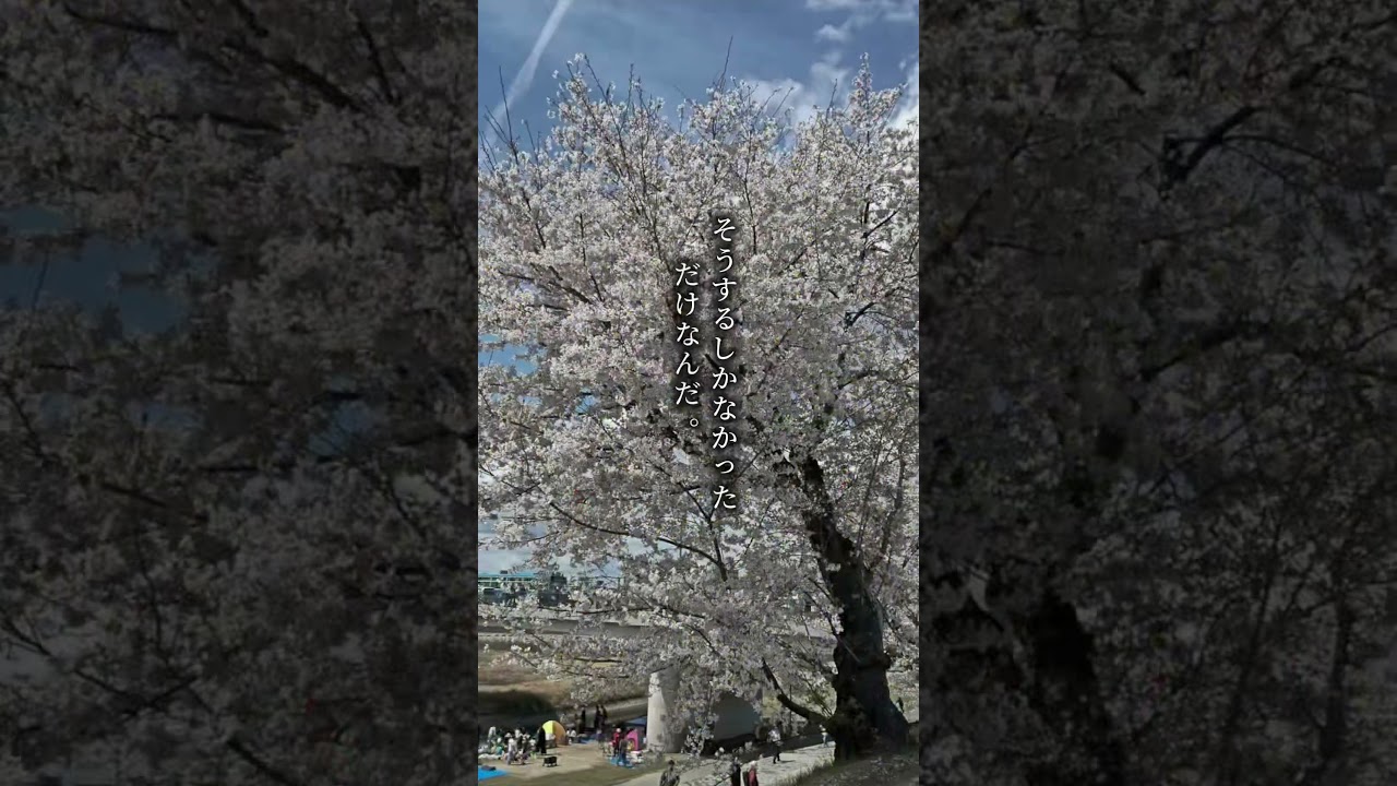 自分も大事に！