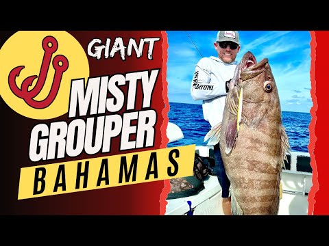 How To Slow Pitch Jig For Grouper | Bahamas | Giant Misty Grouper | Slow Pitch Jigging Technique