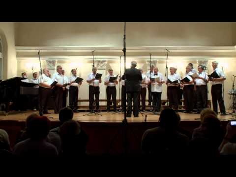 MVA IGK - Vlaho Paljetak: Popevke sam slagal