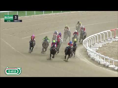 (Busan) 2022.06.26 R3 3rd career winner for apprentice Yoon Hyung-sok