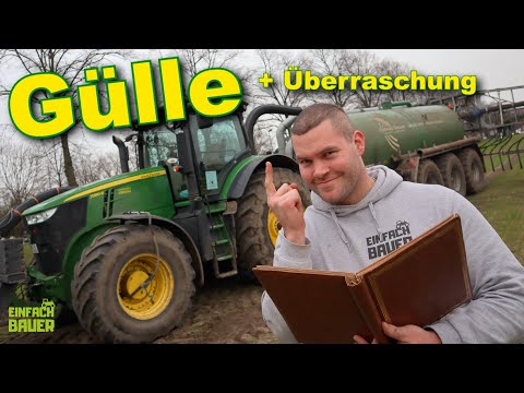 Spreading liquid manure + surprise