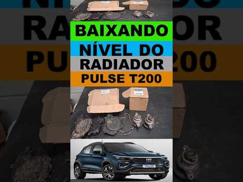 Pulse Fastback 1.0 turbo 3 cilindro vazamento de aditivo na bomba dágua e na tampa da bomba de água