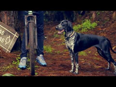 NON-STOP dog wear Antenna