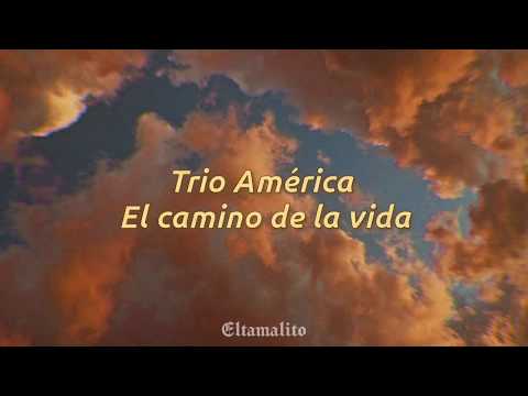 El camino de la vida - Trío América || Letra