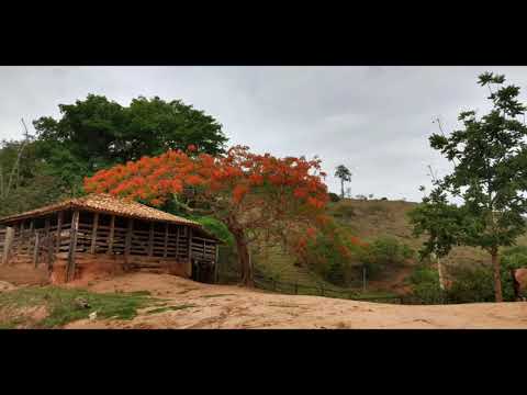 Leaning On The Everlasting Arms (Descansando no poder de Deus)