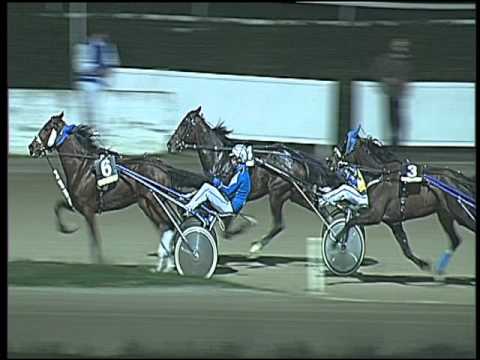 Trotto 19/02/2016 - 8° corsa TRIS