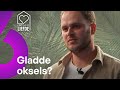 Is Bram veel te GLAD voor Julia? ? | Lang Leve de Liefde #AFL475