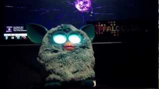 Furby 2.0 vs. Buffalocomotive
