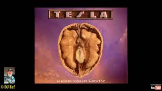 279 Tesla   Need your lovin&#39; 1994