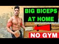 Biceps Workout At Home (NO EQUIPMENT)
