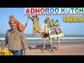 EP 1 Rann Of Kutch Salt Desert Full Moon Night Rann Kalo Dungar Dholavira Harappan Site Gujarat