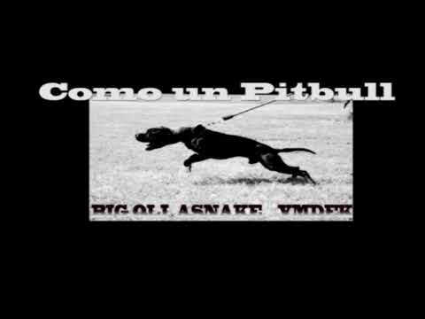 BIG OLI FT ASNAKE(TRAPINJUD) X VMDFK - COMO UN PITBULL