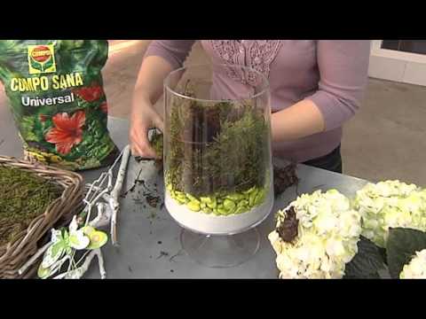 Decoración con plantas en recipientes de cristal