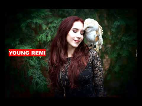 Alfons x QBIK - HAJS (Padi Blend)(YOUNG REMI)