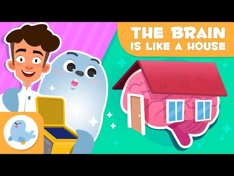 The Brain as a House 🏠 🧠 SELF-REGULATION for Kids