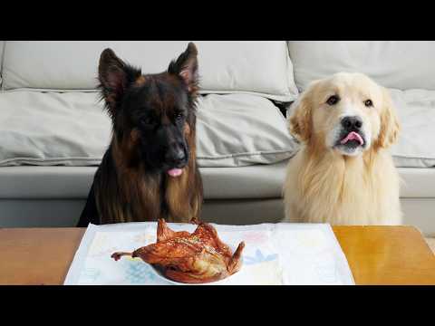 YouTube 썸네일