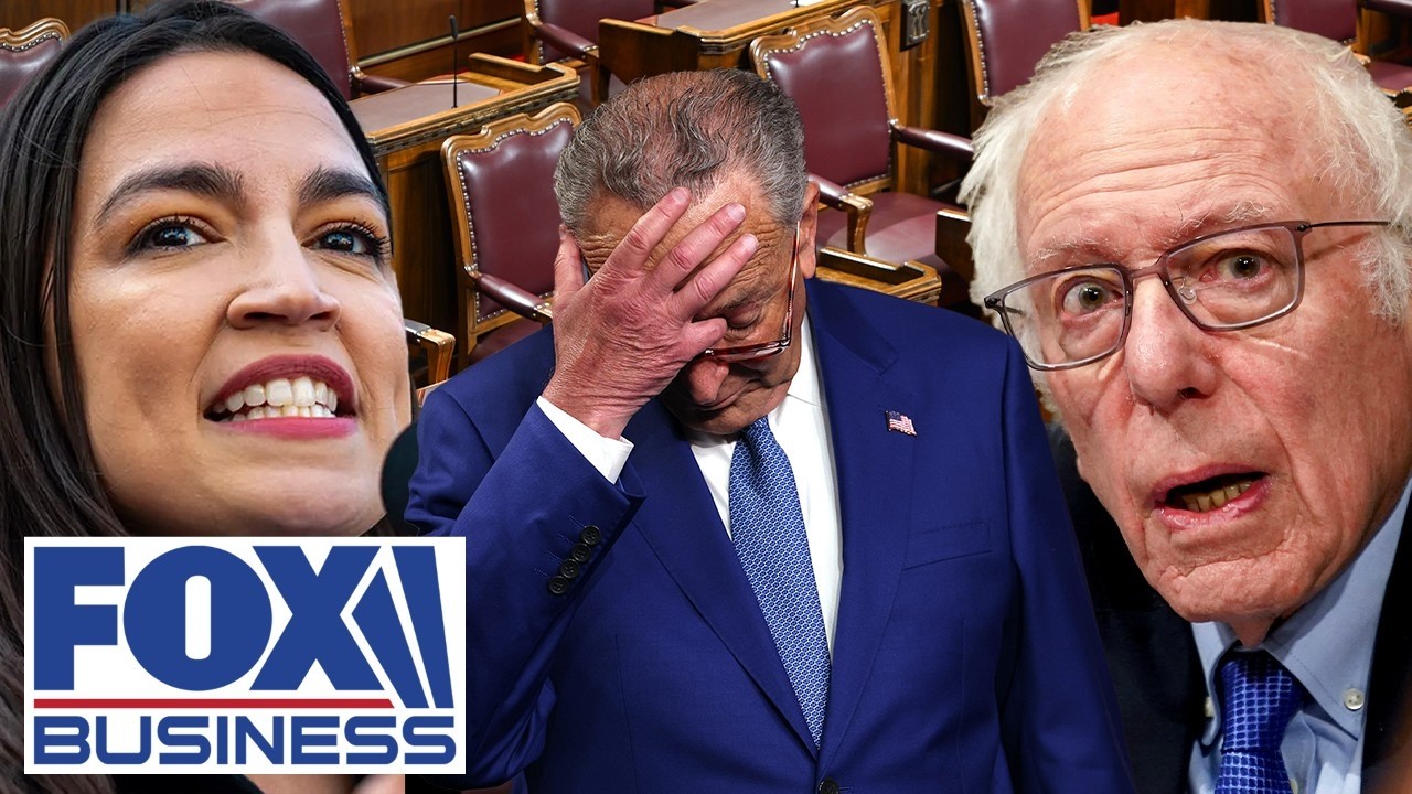 ‘MALIGNANT FORCE’: Democratic Party ‘UNLEASHED THIS MONSTER’
