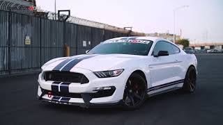 Stunning OX Ford white Shelby GT350 sporting the Gloss Black Project 6GR 7-SEVEN wheels