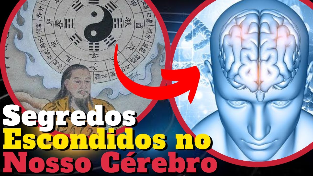 O Segredo Oculto do Yin  Yang Sobre a Vida Humana Que o Sistema Não Quer Que Você Saiba