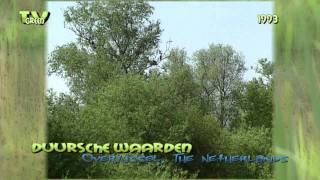 preview picture of video 'River IJssel - Duursche Waarden 1993  #02'