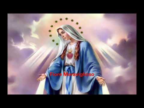 Fiore Meraviglioso - Canto religioso di Giosy Cento