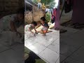 Begini Cara Darin Dan Avan Maen Bareng Si Pussy