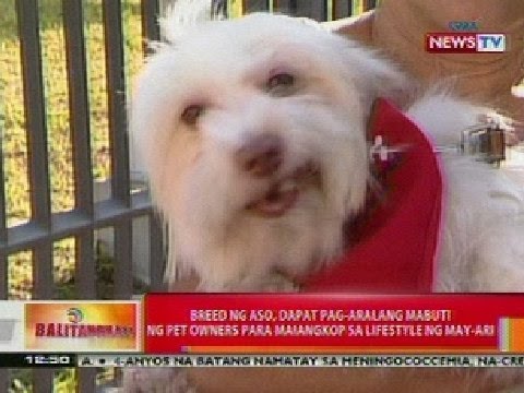 Mawalan ng suso timbang ng manok at bakwit Kung paano mawalan ng timbang para sa posisyon ng menu