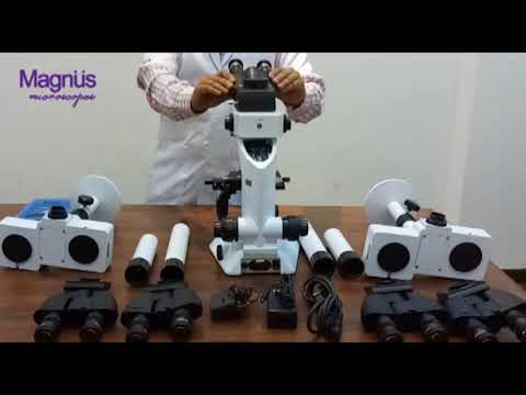 Penta Head Microscope
