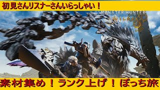 【モンハンワイルズ】ぼっち旅！今のうちに装備揃えんとｗ　#モンハンワイルズ