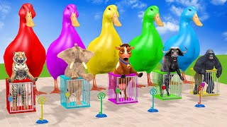 Long Slide Game With Cow Elephant Gorilla Hippopotamus Tiger 3d Animal Game Funny 3d Animals