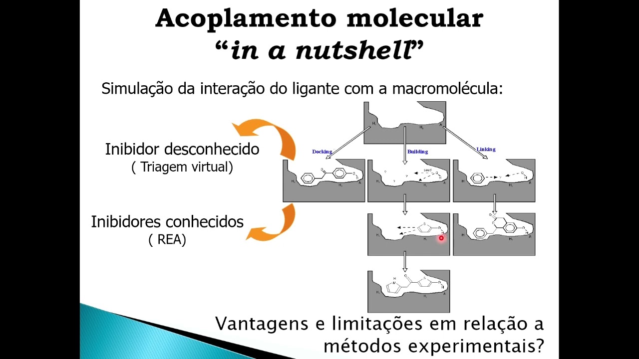 acoplamento molecular- introdução e preparo de ligante/receptor