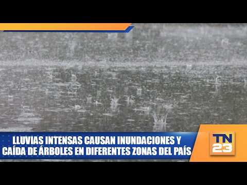 Lluvias intensas causan inundaciones y caída de árboles en diferentes zonas del país