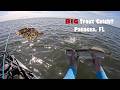 Panacea, FL Big Trout and Surprise Flounder