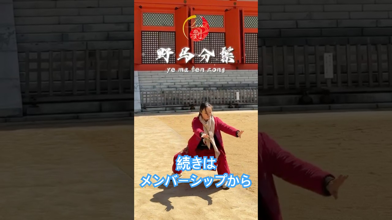 劉一丁の動作をお楽しみ下さい。メンバーシップ登録は▷@ryu-tube の概要欄から入会できます✩︎#劉一丁 #太極拳 #武術 #演武 #24式太極拳