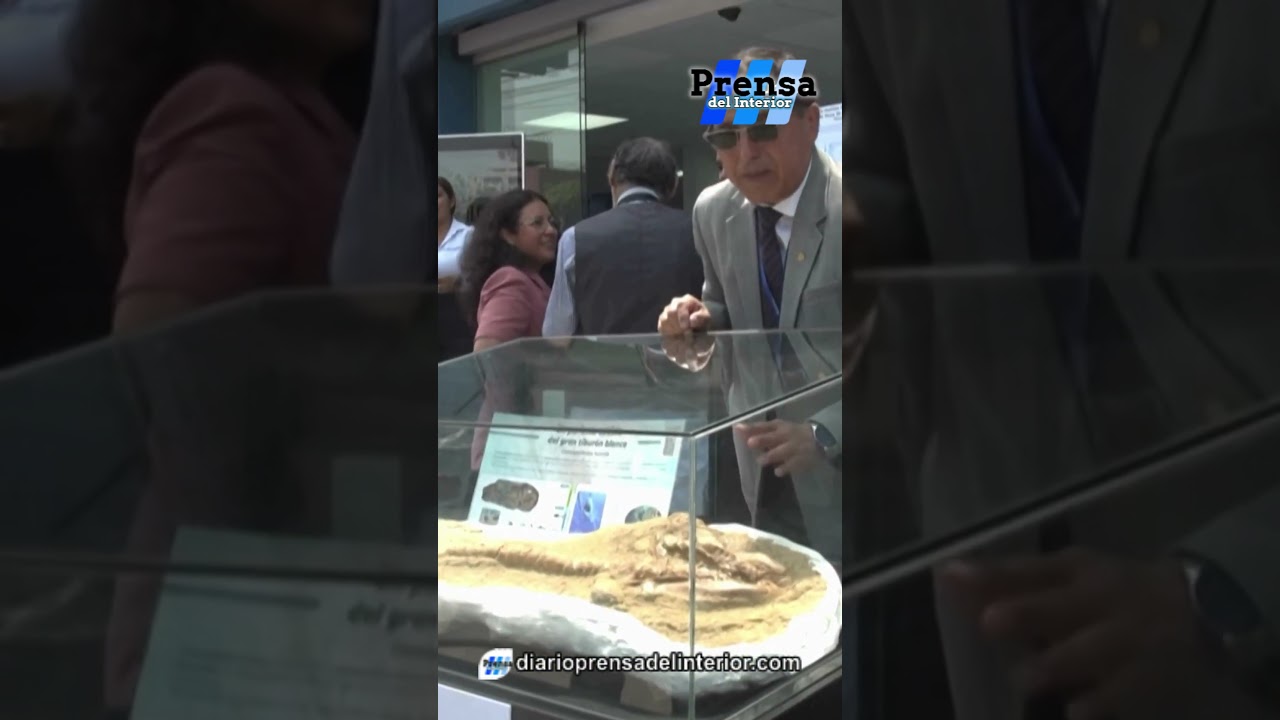 EL ABUELO DEL TIBURÓN BLANCO