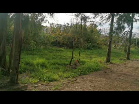 Video de YouTube - Terreno en venta Piedras del Chileno frente a la laguna