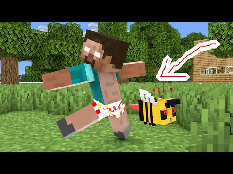 What do you want to draw ? - Minecraft Animation