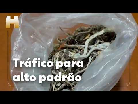 Droga vendida para clientes de alto poder aquisitivo na Bahia era escondida dentro de cremes