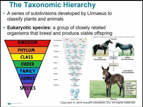 2117 Chapter 10 - Classification of Microorganisms